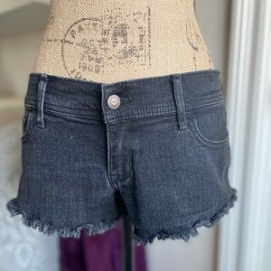 Black Hollister Short Shorts